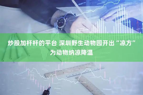 炒股加杆杆的平台 深圳野生动物园开出“凉方”为动物纳凉降温